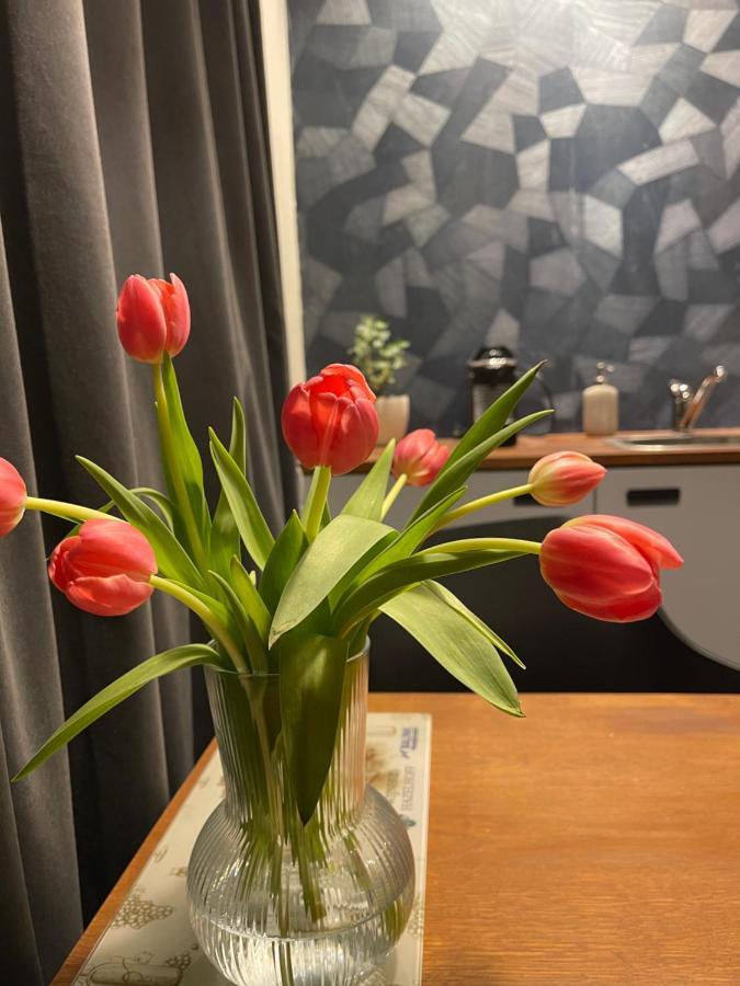 Bed & Breakfast Vannienke Tersoal Esterno foto